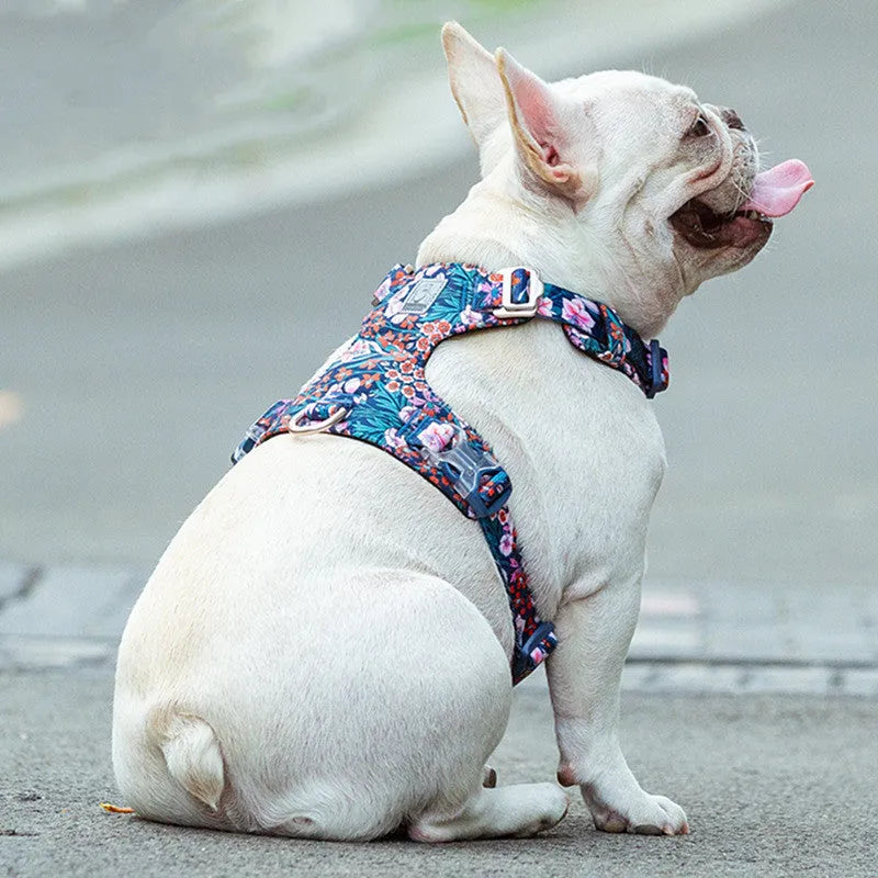 Floral print pure cotton dog harness and lead set with chest strap, shown in red.