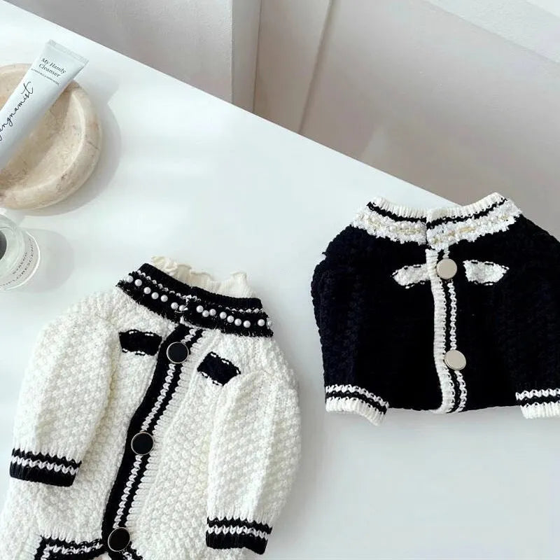 Korean style white puppy sweater with pearl collar detail on small dog
