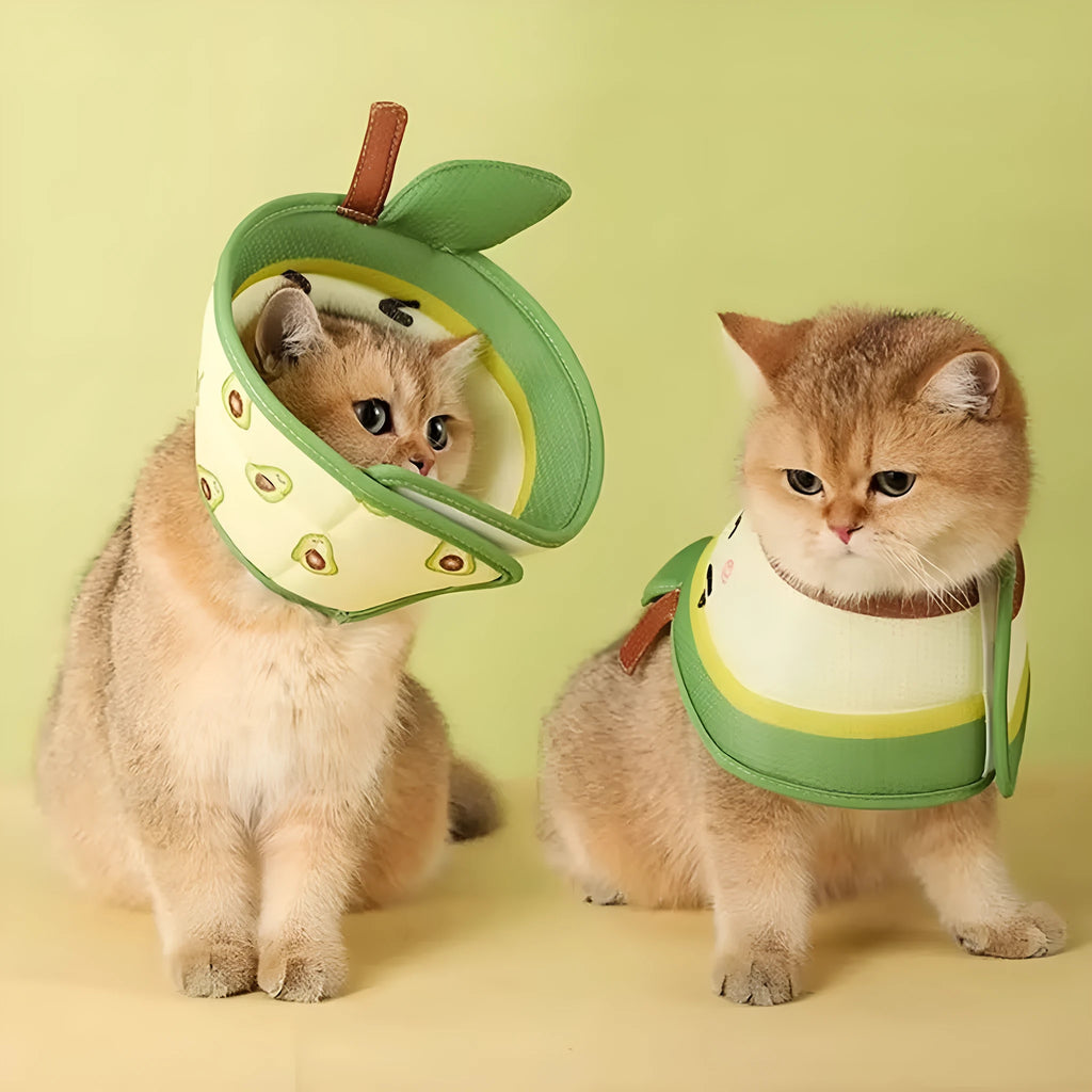 Soft EPE cat recovery cone collar with adjustable strap shown on cat