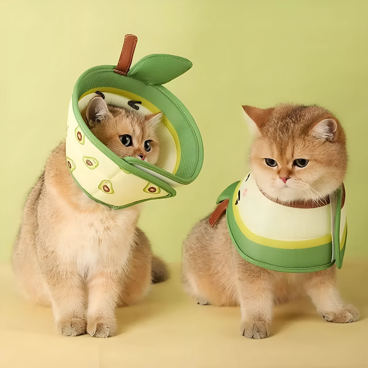 Soft EPE cat recovery cone collar with adjustable strap shown on cat