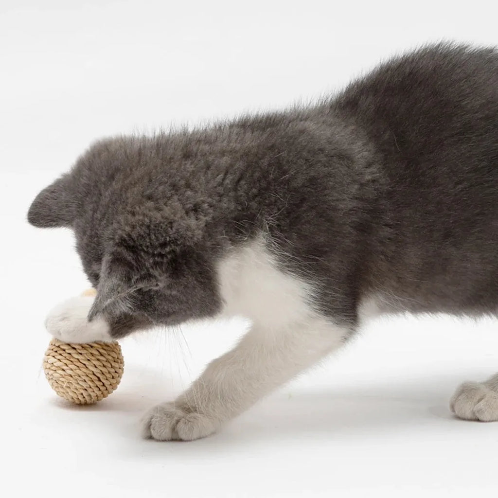 Two cat toys: rattan ball with bell and faux feather ball for interactive feline play
