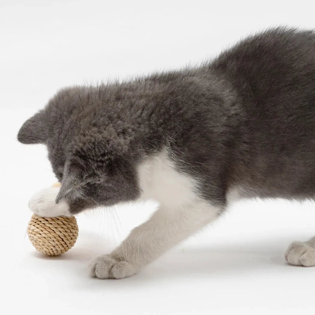 Two cat toys: rattan ball with bell and faux feather ball for interactive feline play