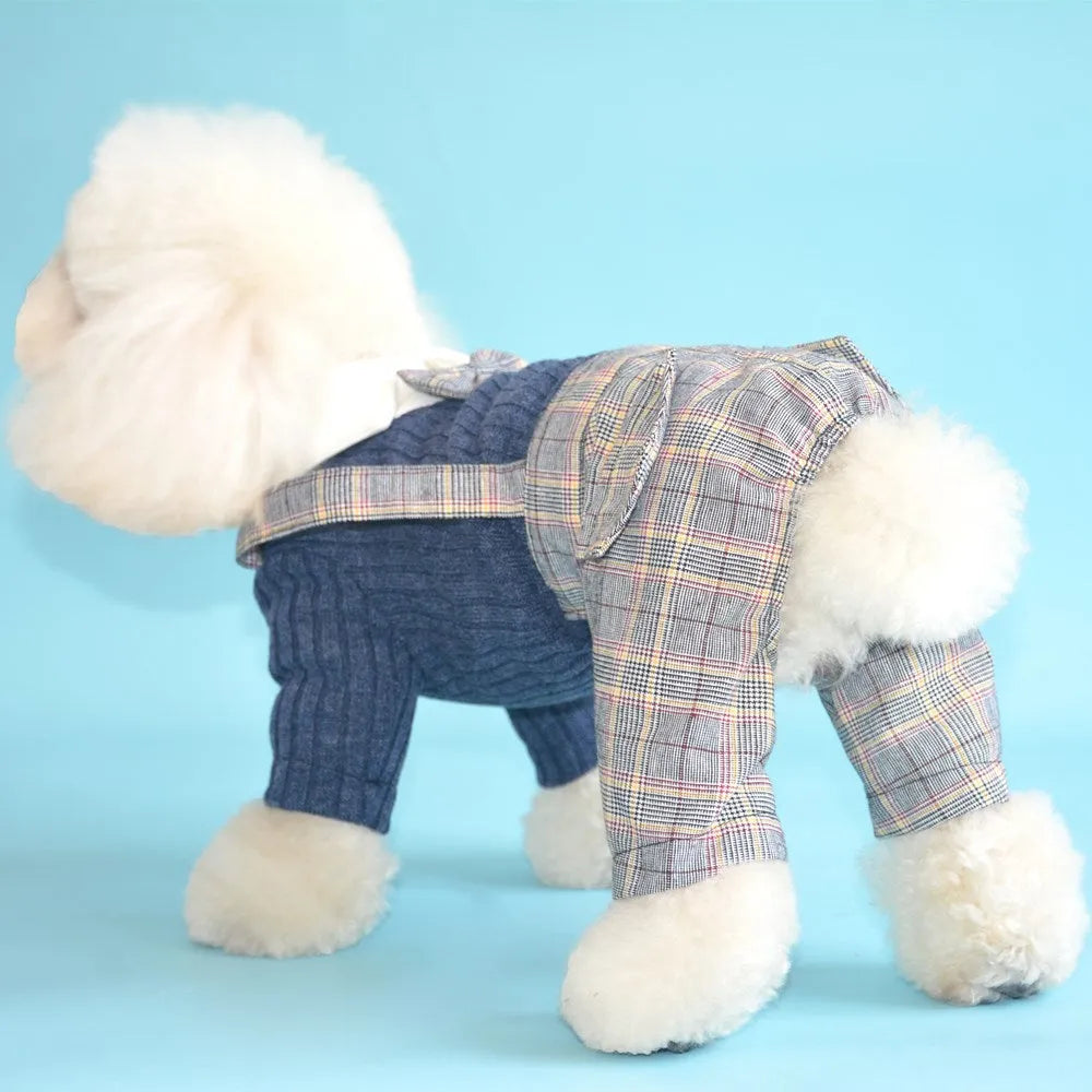 Orange and dark blue cotton dog suit shirts shown in sizes S through 2XL for small dogs