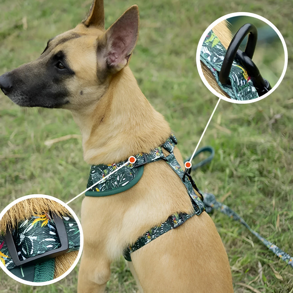 Six-piece adjustable dog harness set showing vest harness, lead, collar, poop bag holder, bow tie, and bandana in coordinating colours