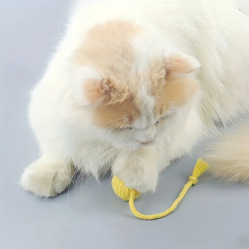 Colourful cat toy ball with a rope and built-in bell for interactive kitten play.