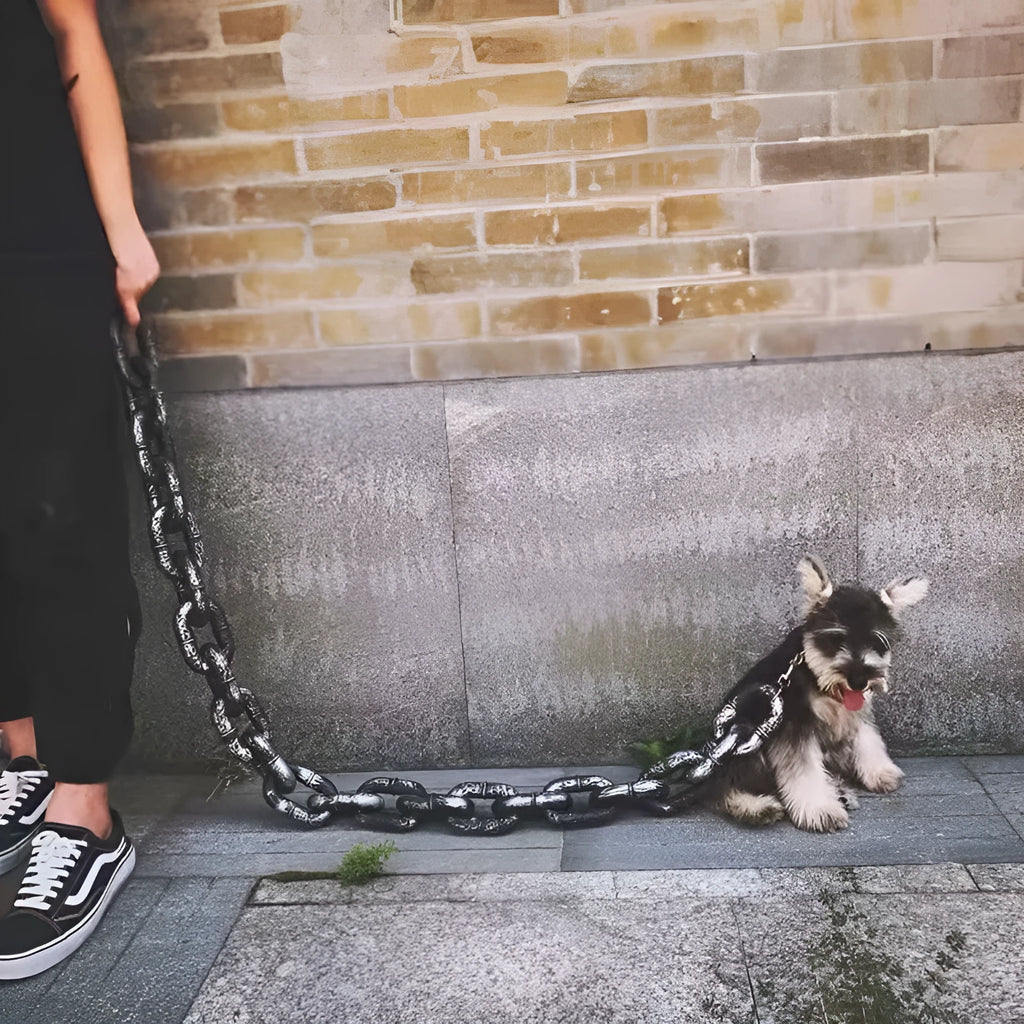 PP plastic dog leash in bronze colour showing clip and handle, with antique silver and black options available.