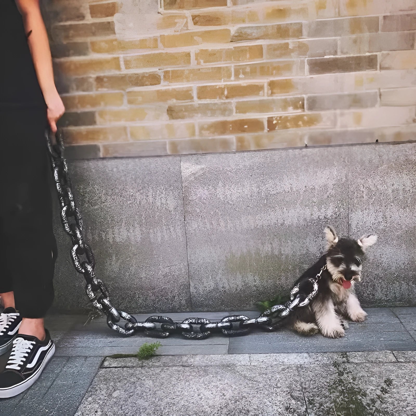 PP plastic dog leash in bronze colour showing clip and handle, with antique silver and black options available.