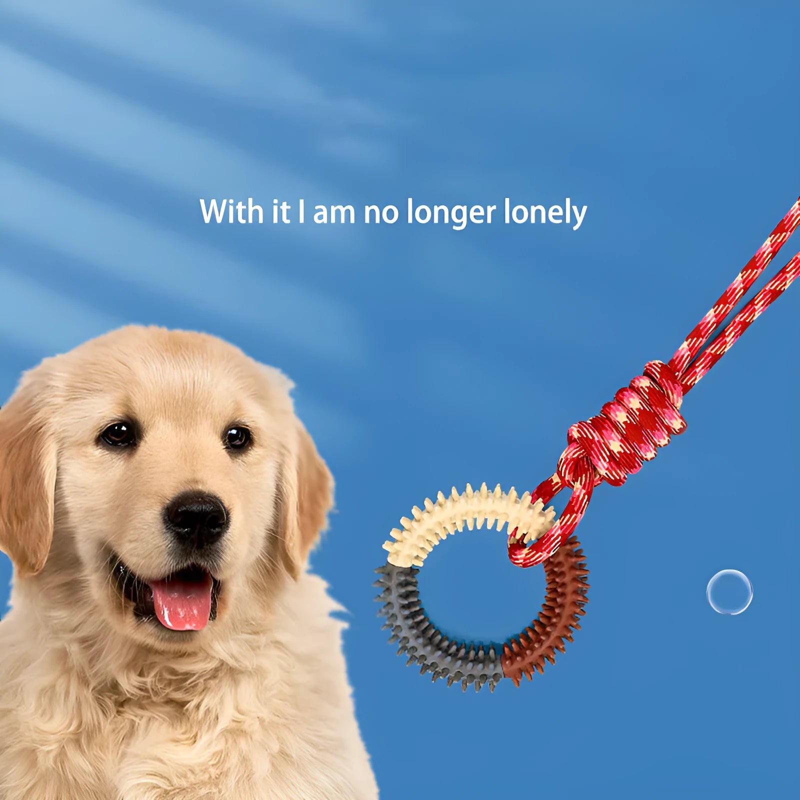 Braided cotton rope dog toy with knotted ends in assorted colours, measuring 43 cm long.