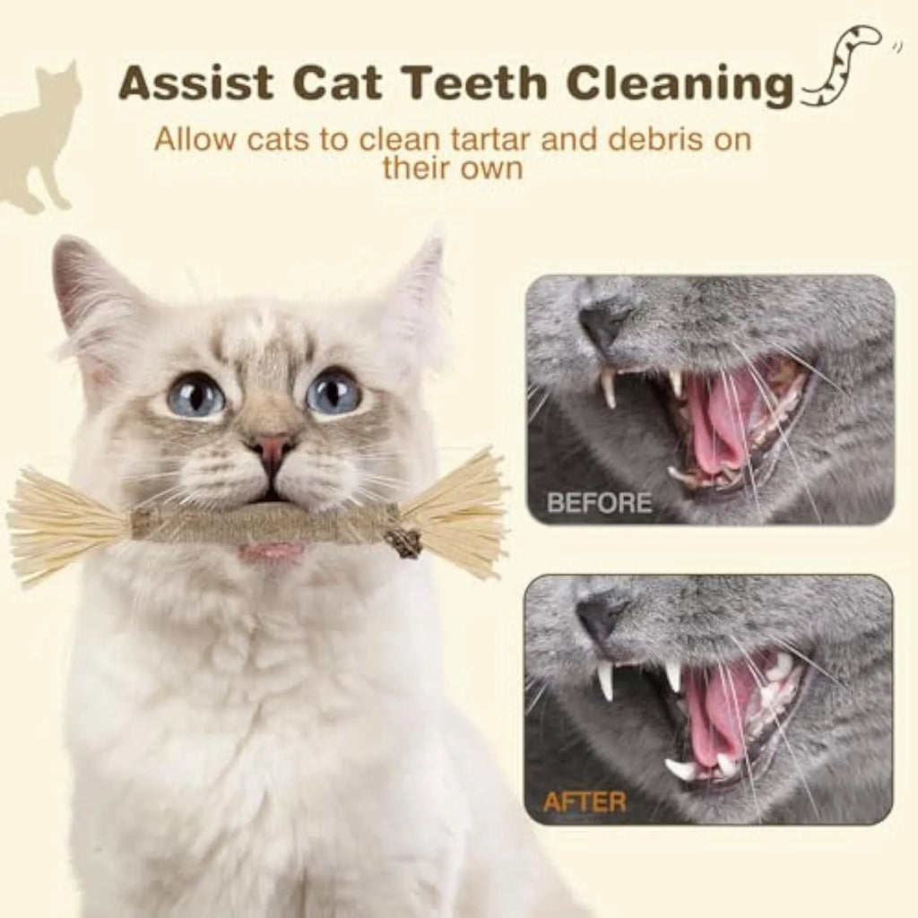 Three natural silvervine chew sticks for cats with sisal rope and raffia dental care elements