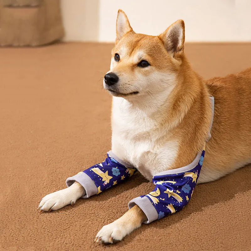 Blue dog knee protector with adjustable straps and matching scarf on a medium-sized dog’s front leg.