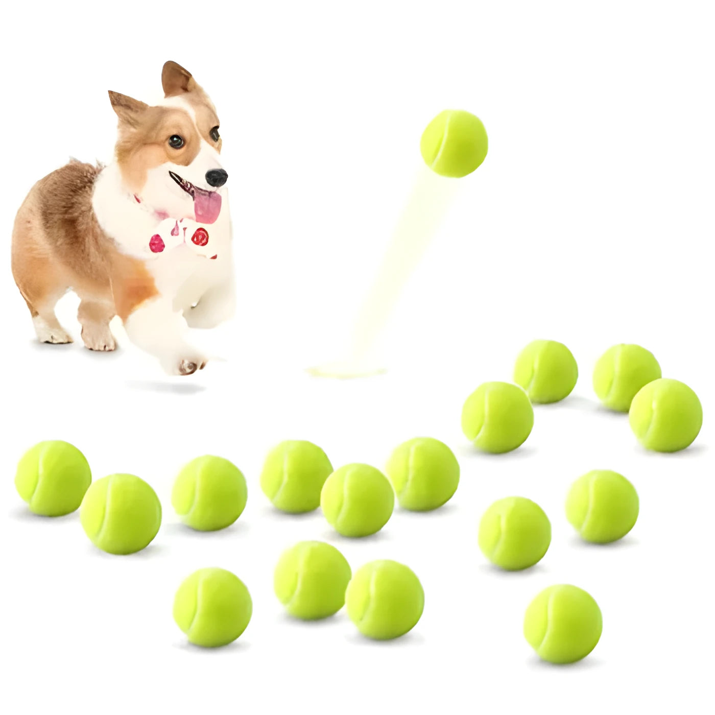 Bite-resistant rubber tennis ball dog toy 6.3cm diameter in five colour options