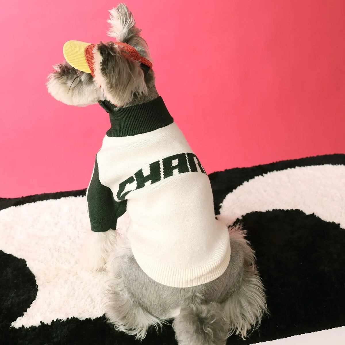 Red wool dog sports sweater cardigan for puppies in casual style