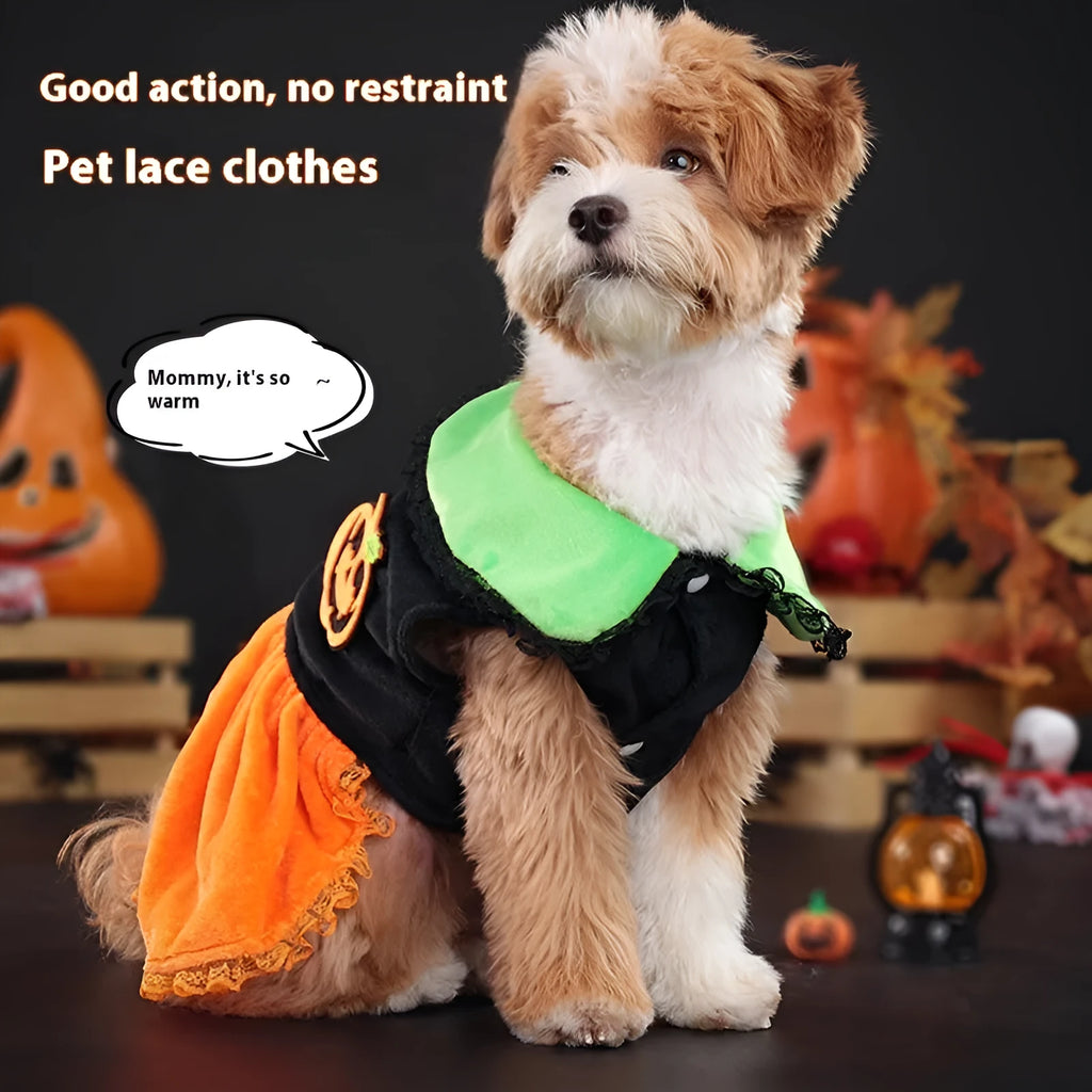 Halloween pumpkin skirt and sweater pet costumes for dogs and cats in crystal velvet fabric