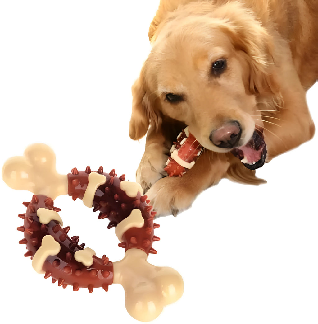 Natural rubber bone-shaped dog molar chew toy for teeth grinding and anxiety relief in two sizes.