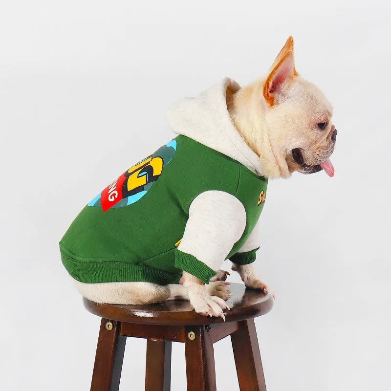 Green cotton dog jumper on a dog, showing autumn winter pet clothing style