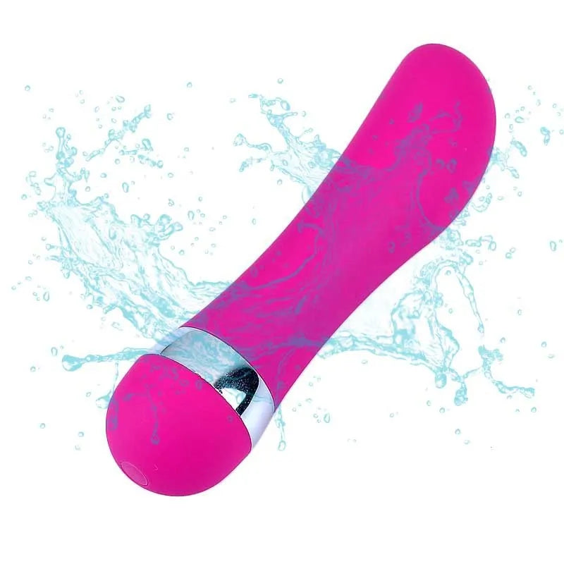 Six styles of realistic mini dildos for women including vaginal and anal plug options