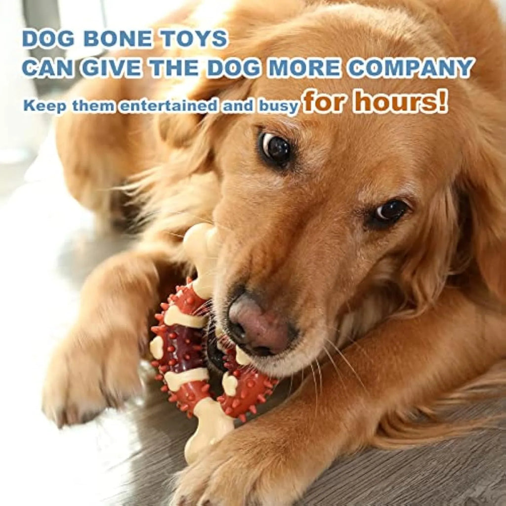Natural rubber bone-shaped dog molar chew toy for teeth grinding and anxiety relief in two sizes.