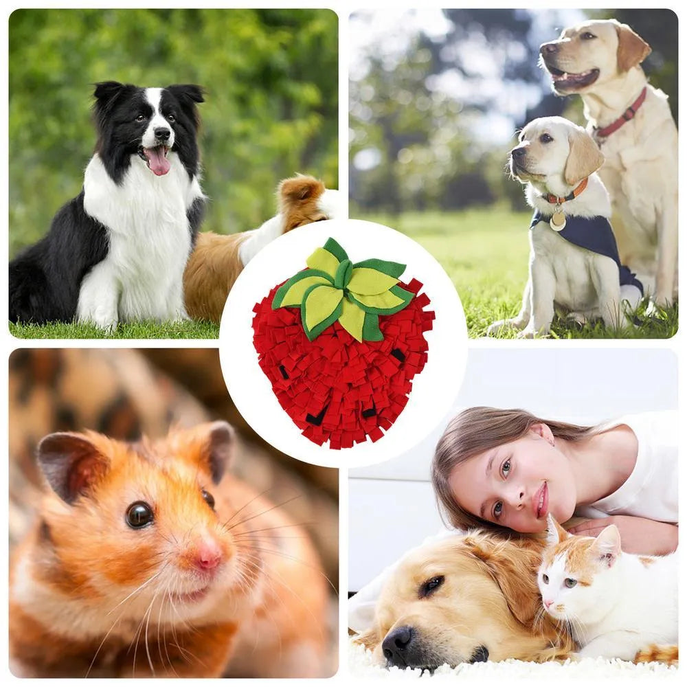 Red and green strawberry shaped pet slow feeder mat with textured foraging surface