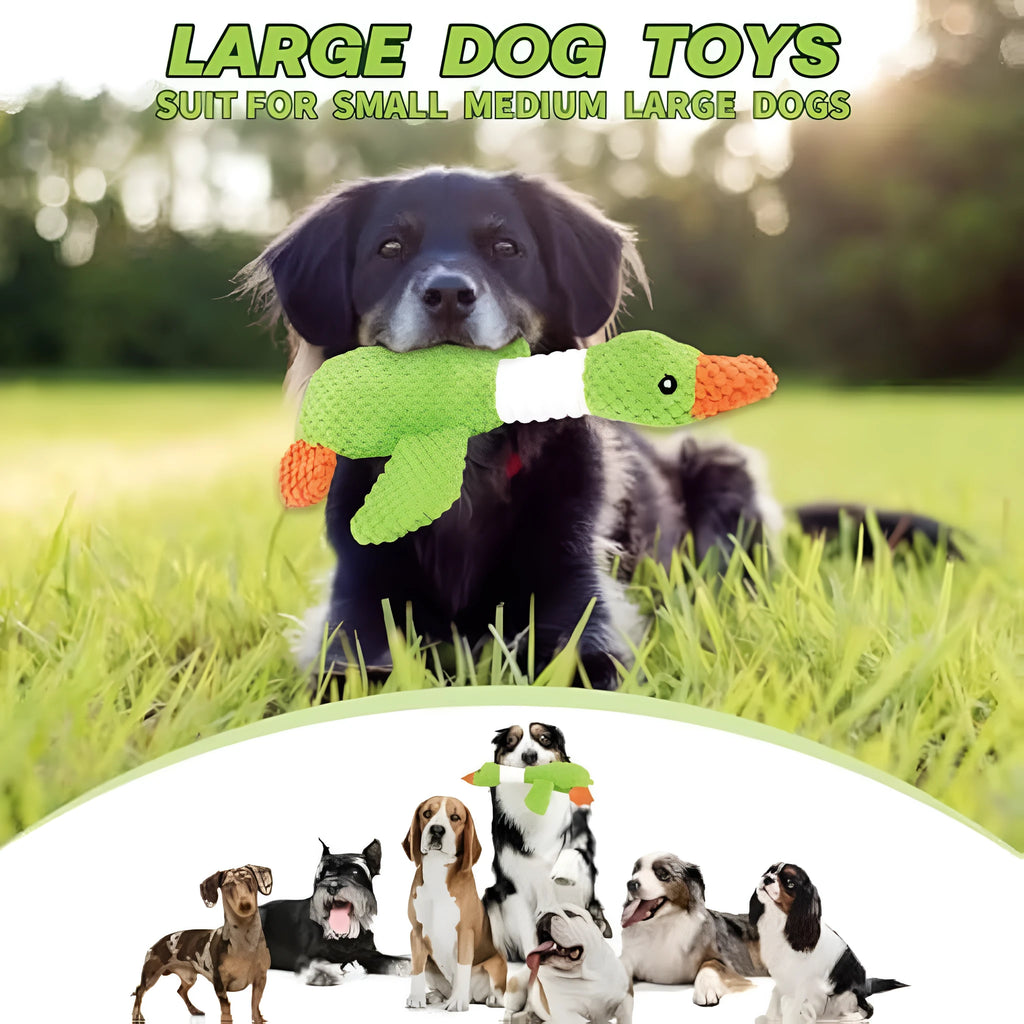 Blue durable pineapple cotton duck dog plush toy with squeakers on a white background.