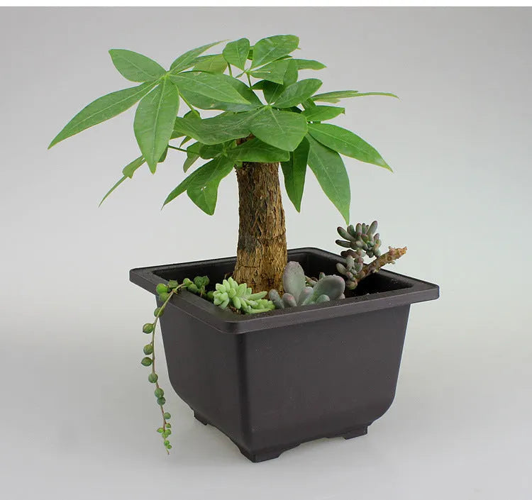 Dark brown antique plastic flowerpot in multiple size options for garden use