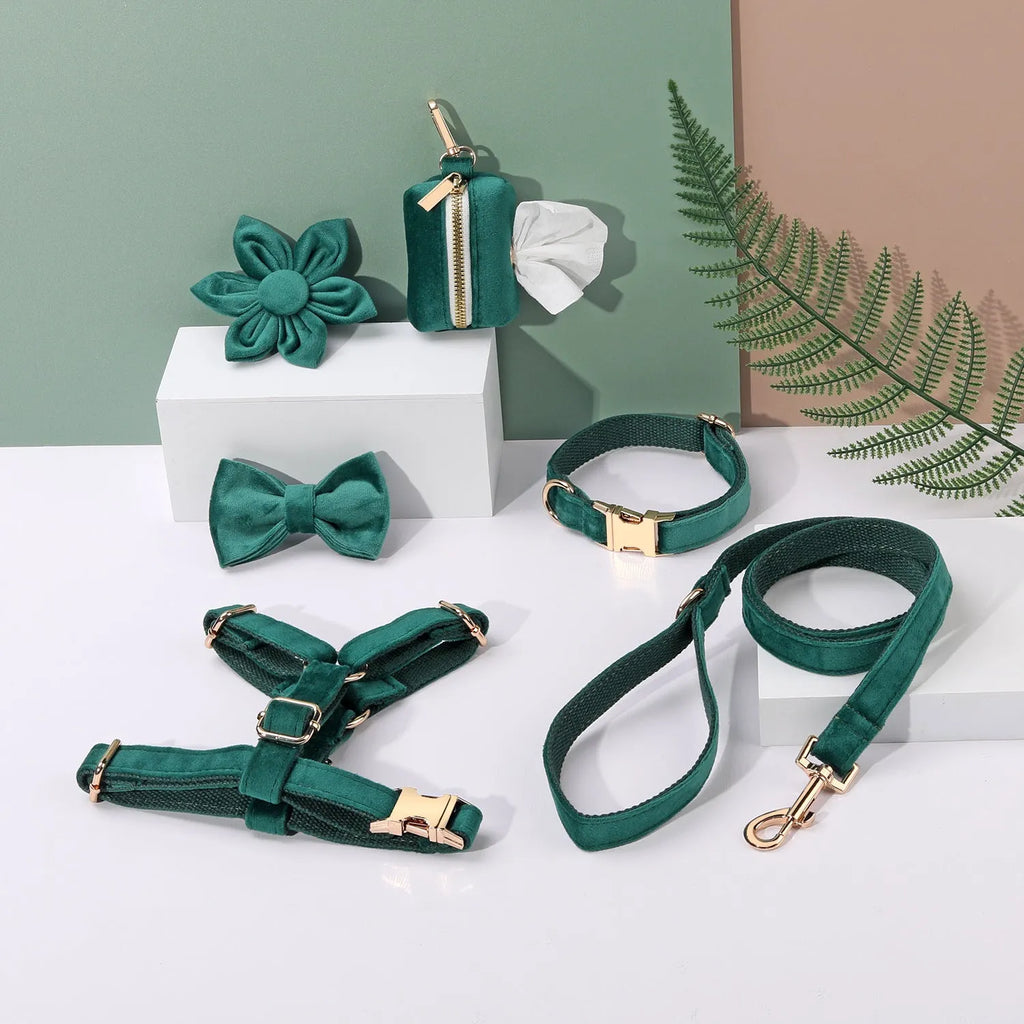 Complete velvet dog collar and traction rope set with bow tie, flower, and toilet bag on a table