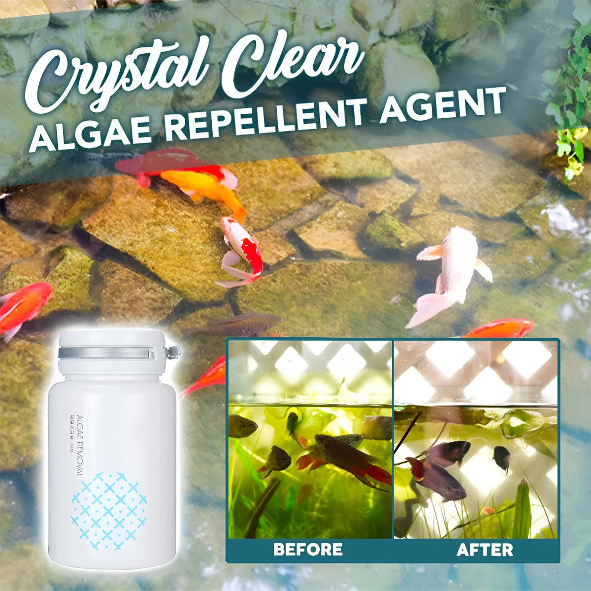 50g swimming pool algaecide container for algae removal and moss prevention