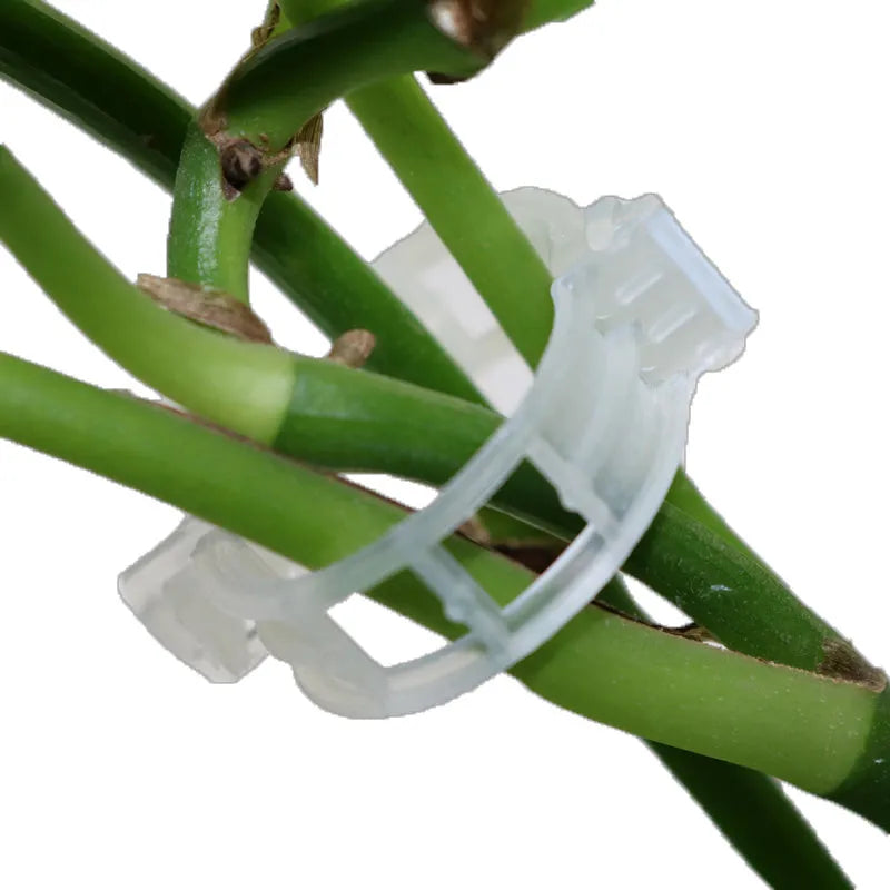 50-piece set of plastic gardening plant clips for tomato flower and twig support.