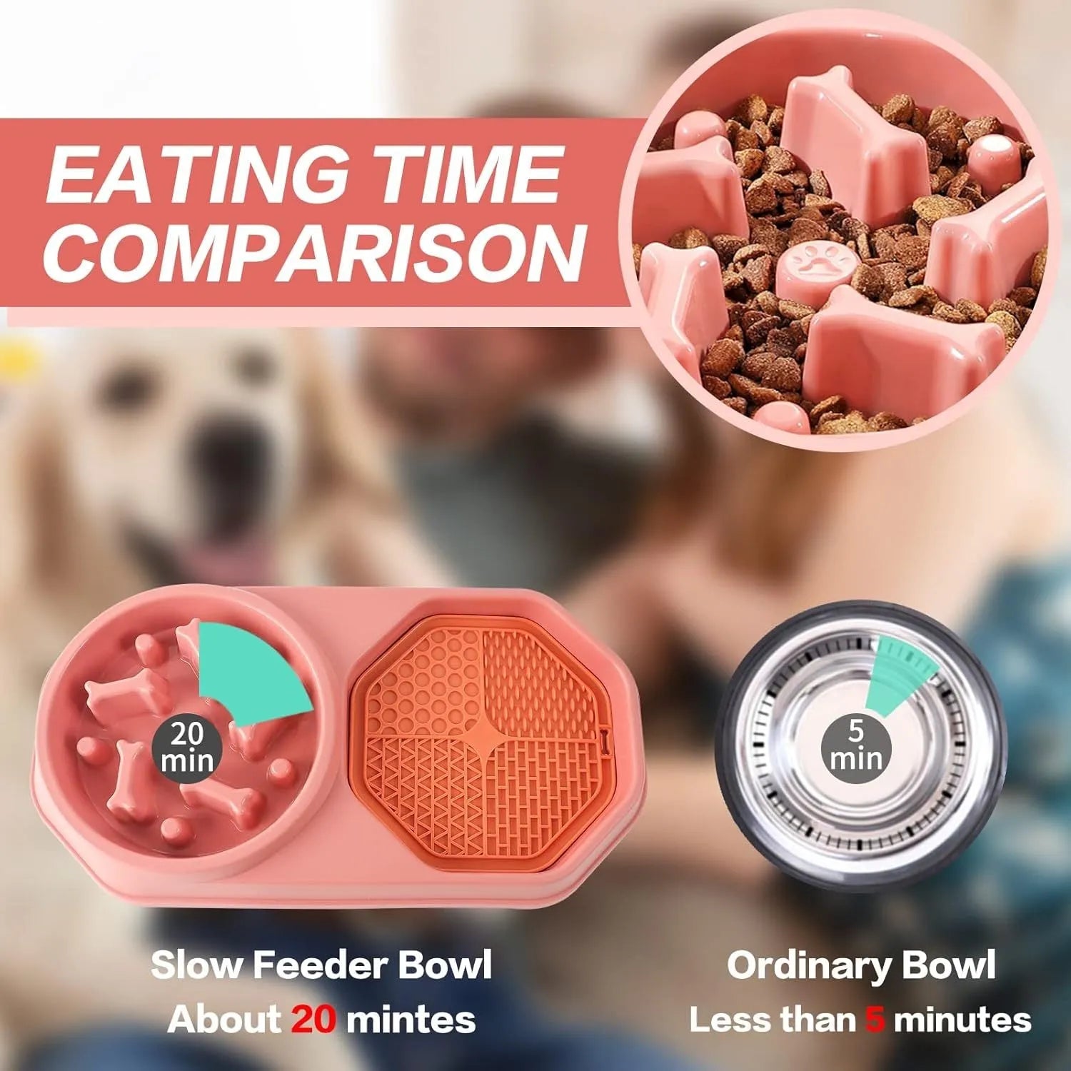 Slow feeder dog bowl with colourful maze pattern for anti-gulping and bloat prevention