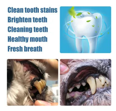 Yegbong pet teeth whitening pen kit with two 3ml pens and dental brushes for dogs and cats