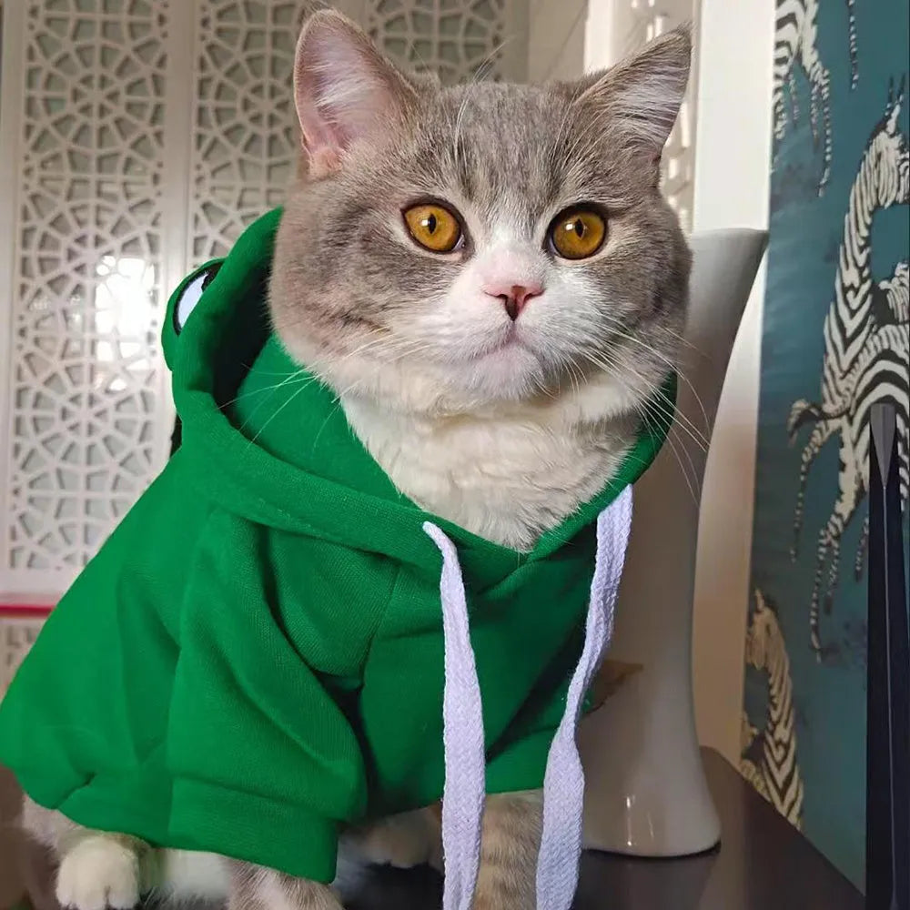 Green frog costume hoodie on a small dog, showing the hood and zip front.