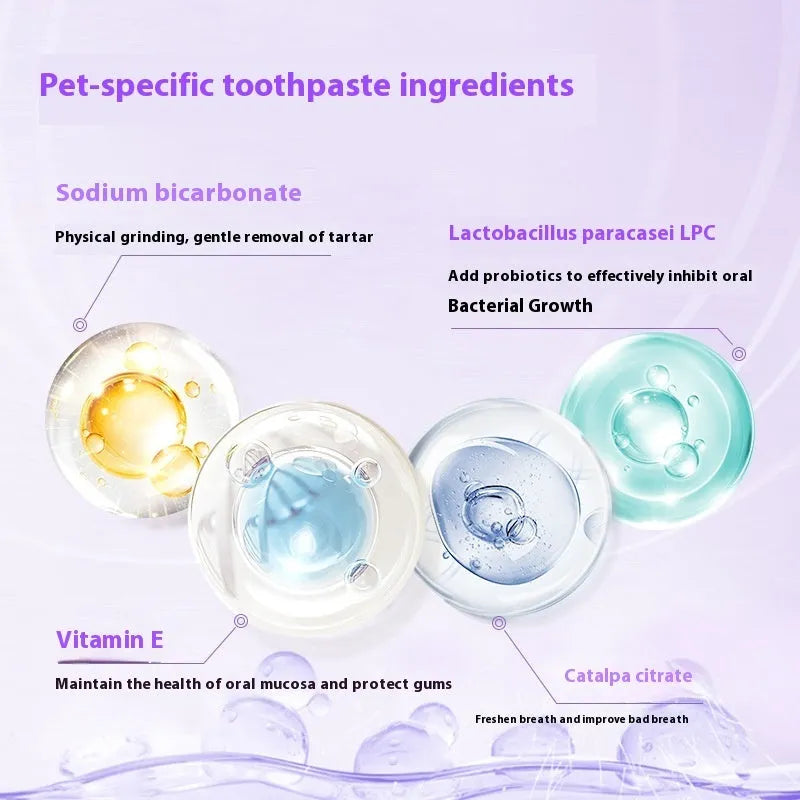 5ml pet teeth whitening pen for dogs and cats, a toothbrush applicator for tartar cleaning.