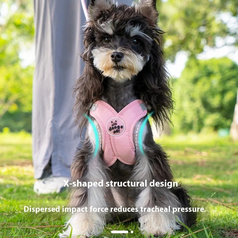 Blue polyester dog vest with an attached hand holding rope laid flat on a white background.