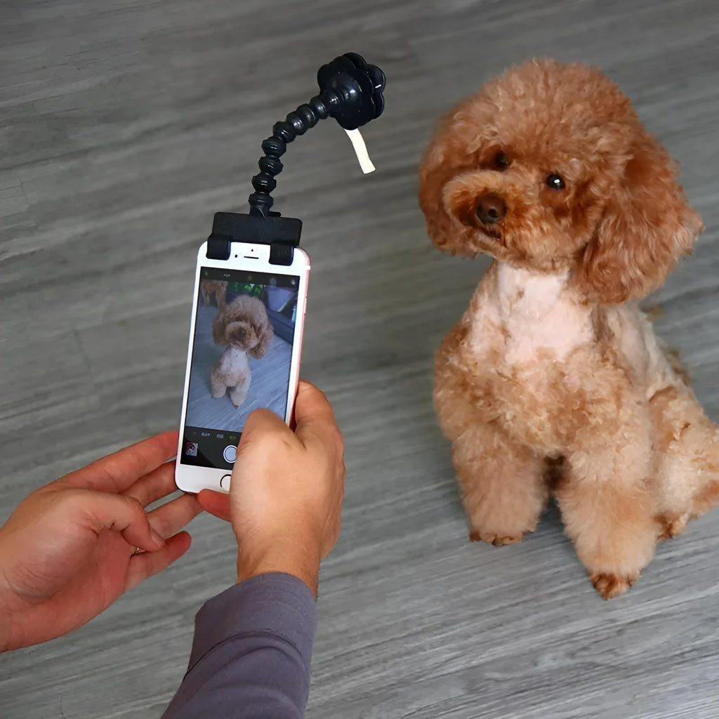 Black and white pet selfie stick with square clip and flower attachment for mobile phone photography