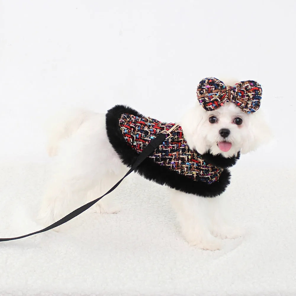 Dog wearing a beret-style cloak attached to a cloth chest strap harness with a hand-held rope.