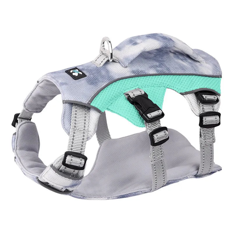 Reflective light blue dog chest strap shown on a dog for size and fit.