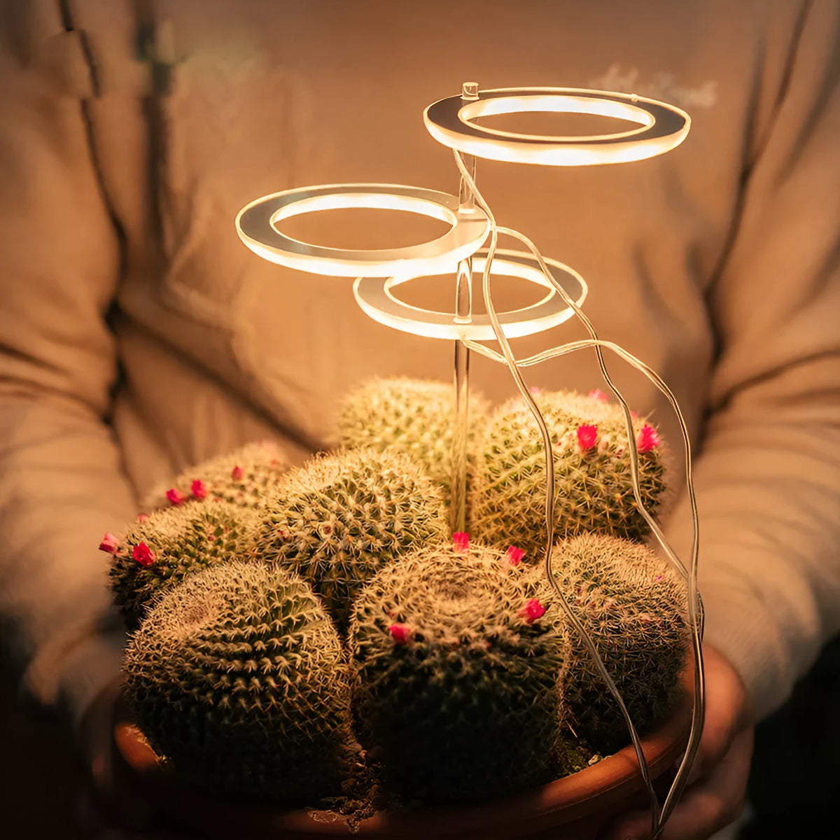USB-powered LED grow light for plants with acrylic mounting stick in pink/white colour
