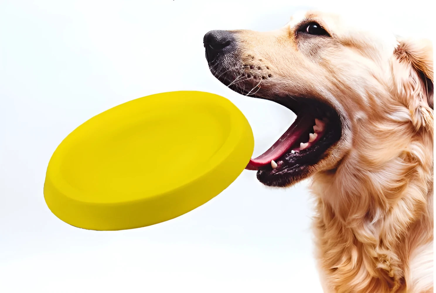 Yellow EVA plastic dog throwing toy for training and interactive play