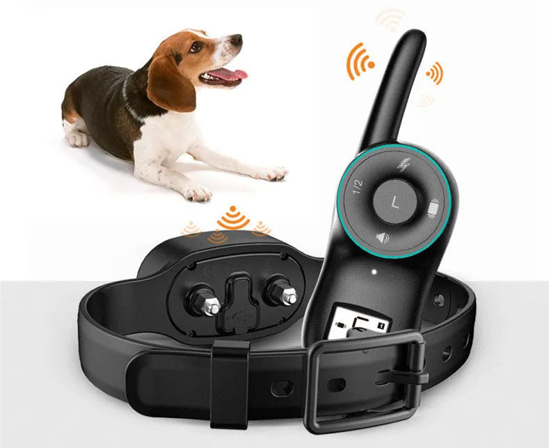Black rechargeable waterproof dog training collar with remote control for medium to large breed dogs