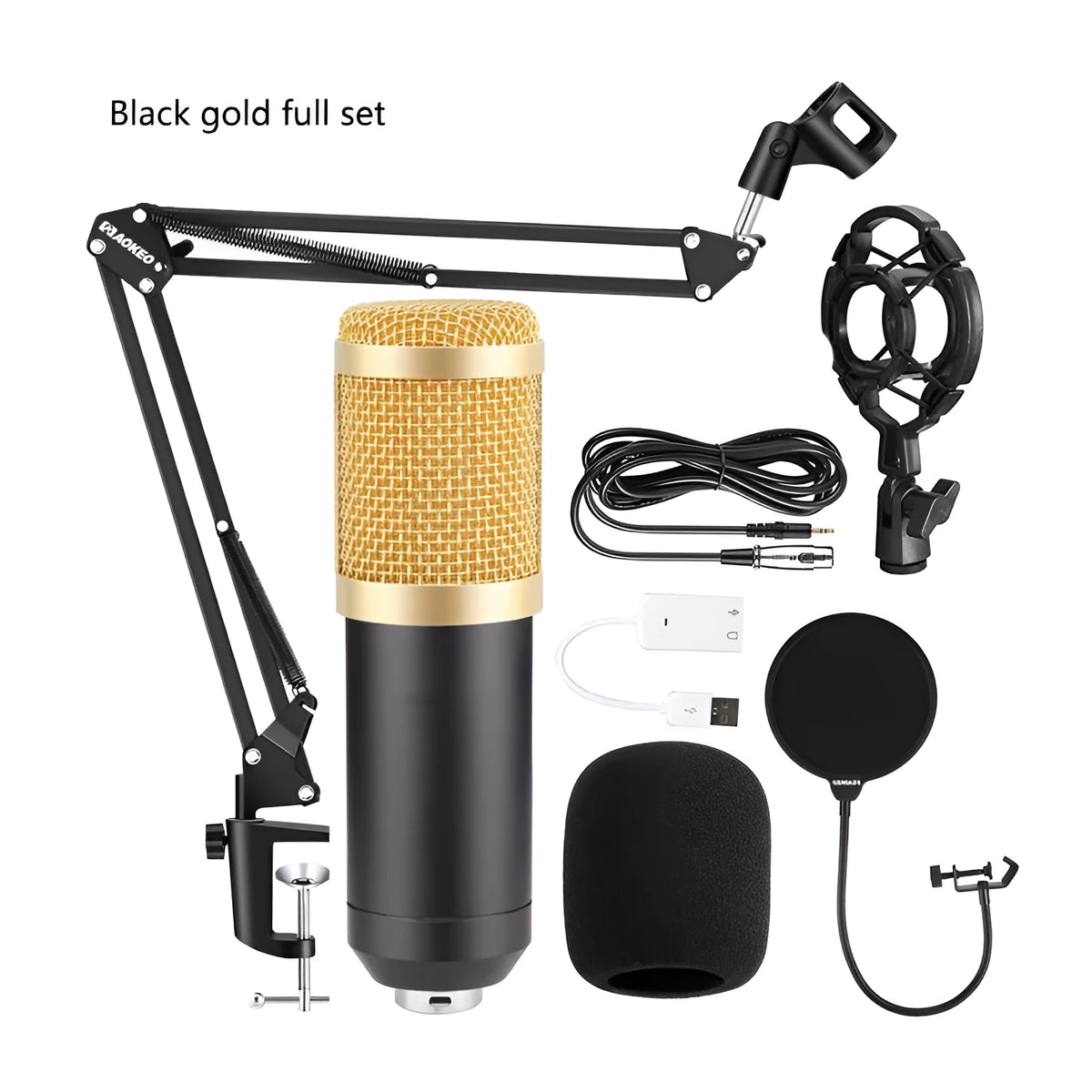 BM800 condenser microphone kit on adjustable stand with shock mount and pop filter for studio recording