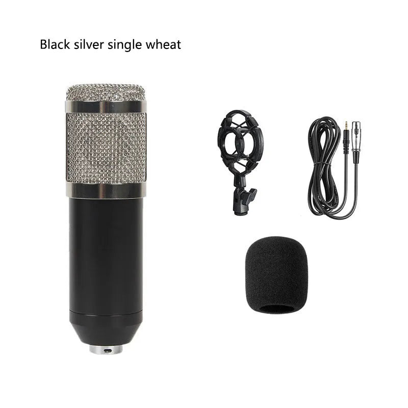 BM800 condenser microphone kit on adjustable stand with shock mount and pop filter for studio recording