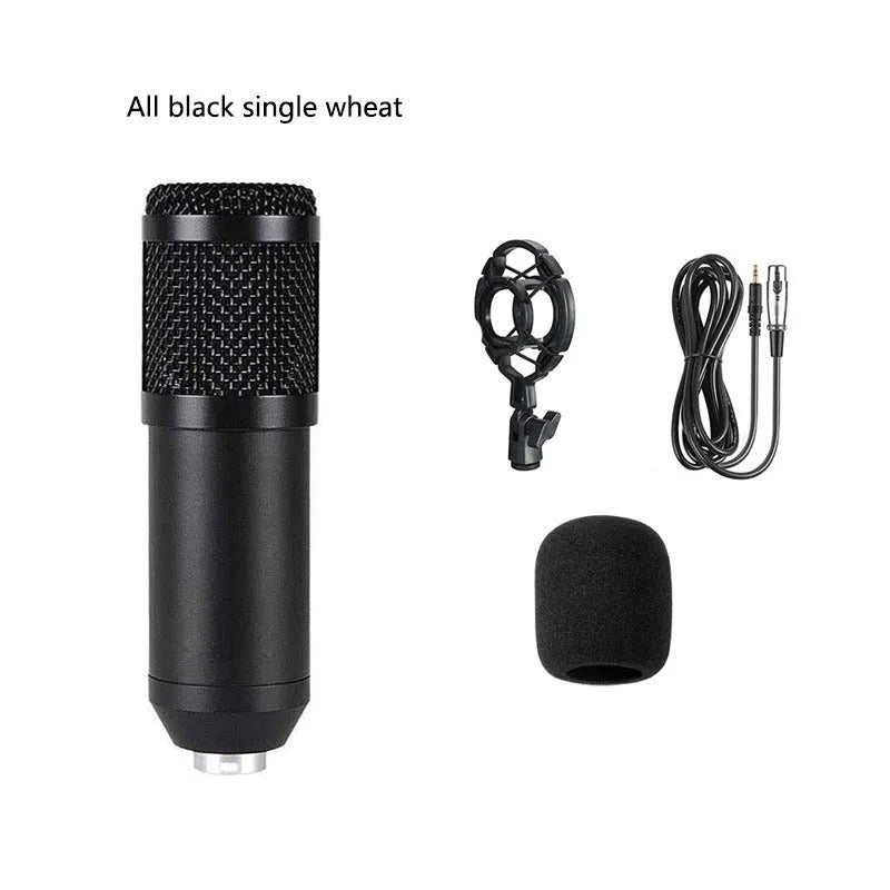 BM800 condenser microphone kit on adjustable stand with shock mount and pop filter for studio recording