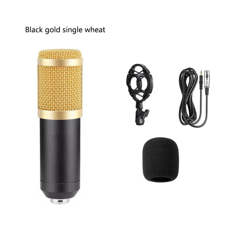 BM800 condenser microphone kit on adjustable stand with shock mount and pop filter for studio recording