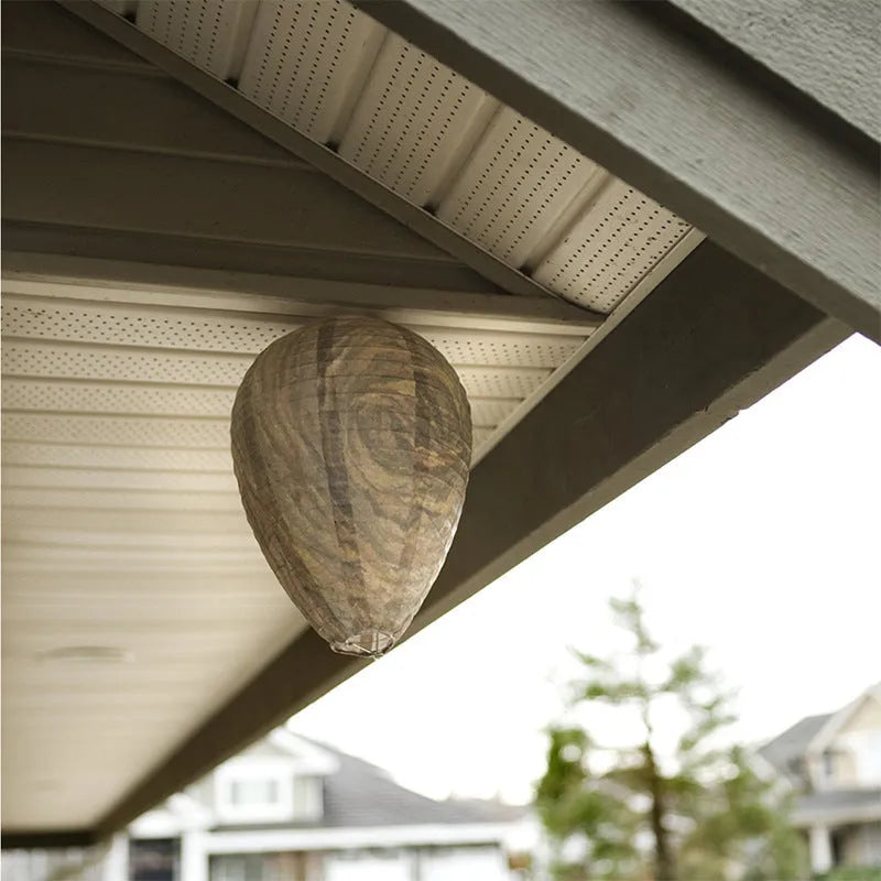Unfolded honeycomb-shaped paper lantern in assorted colours, measuring 22cm by 28cm.