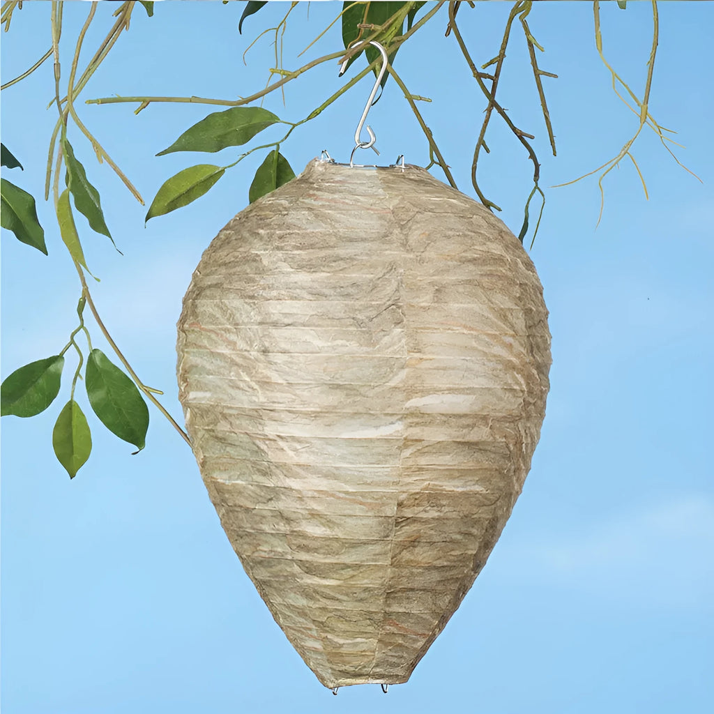 Unfolded honeycomb-shaped paper lantern in assorted colours, measuring 22cm by 28cm.