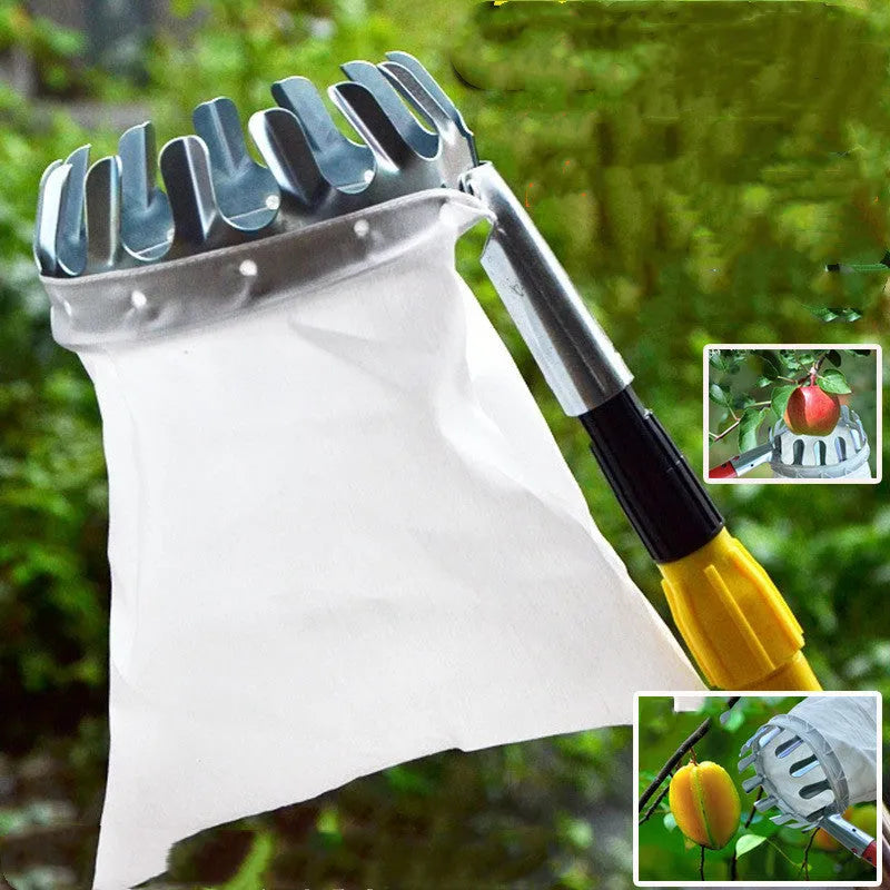 Steel frame fruit picker with cloth catcher bag for garden fruit harvesting