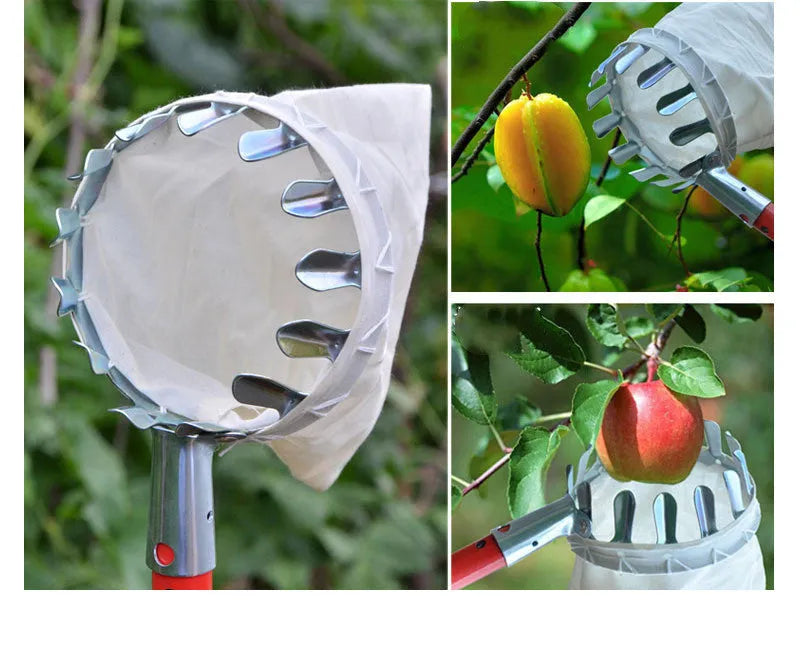 Steel frame fruit picker with cloth catcher bag for garden fruit harvesting