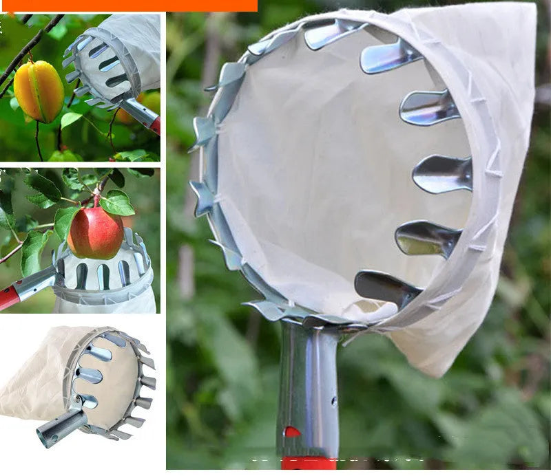 Steel frame fruit picker with cloth catcher bag for garden fruit harvesting