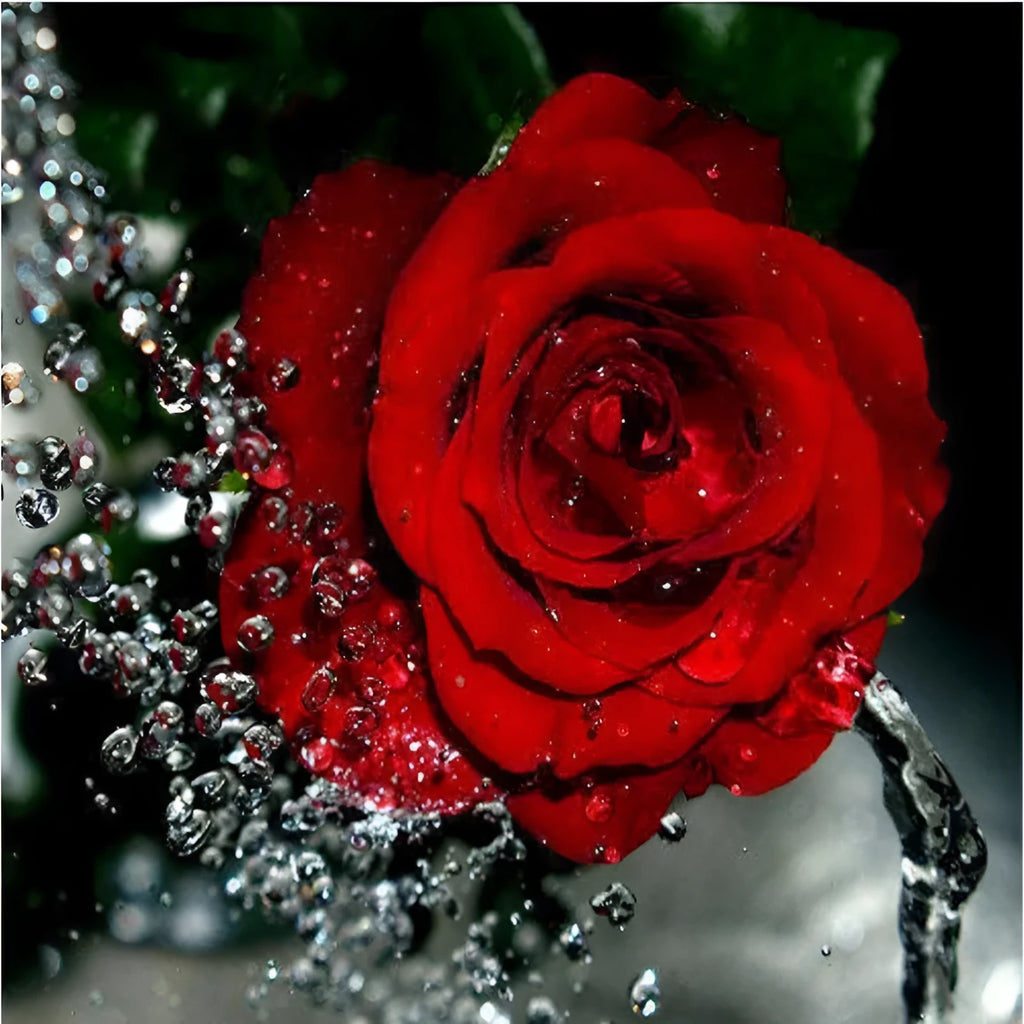 Hand-painted frameless red rose oil painting on linen canvas, 40x50cm.