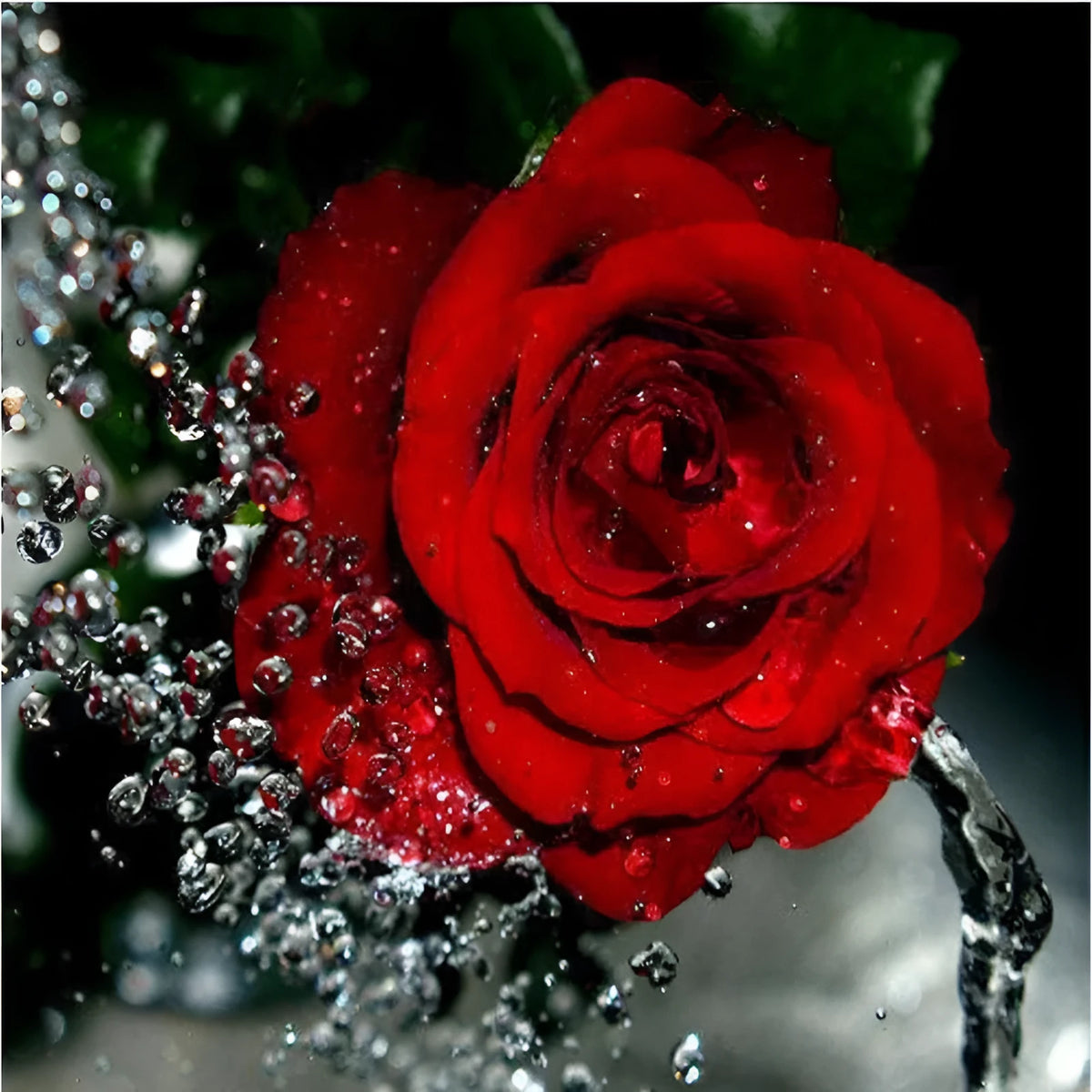 Hand-painted frameless red rose oil painting on linen canvas, 40x50cm.