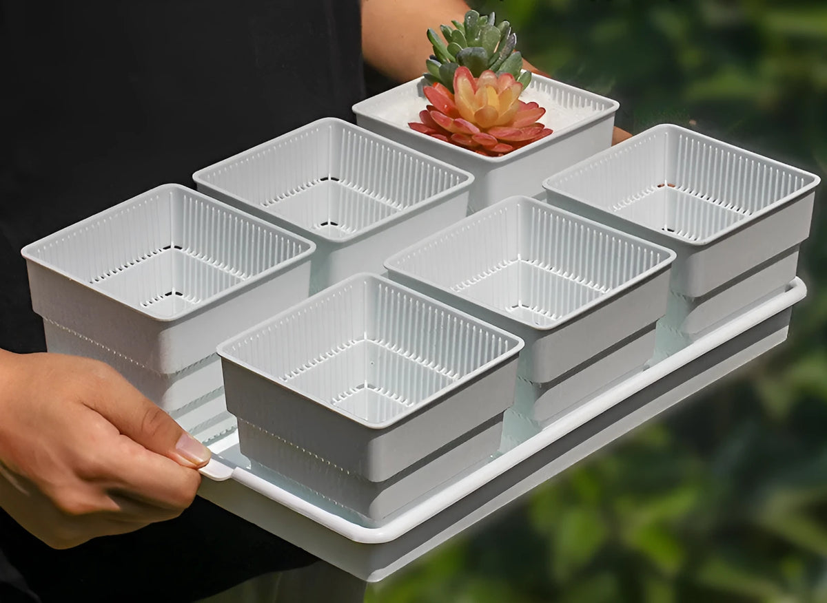 Meishi Controlled Root resin flower pot showing black and white tray options with multiple planting basins